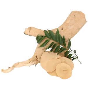 Tongkat Ali